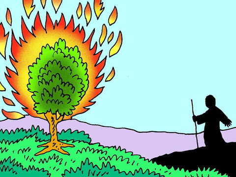 Suddenly Moses saw something very strange in the distance. A green bush was on fire, but it was not burning up! – Slide 4