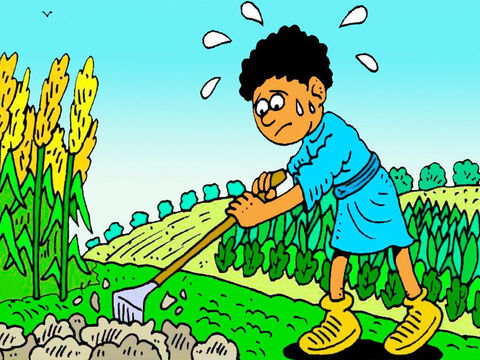 Cain loved to grow vegetables, but it was hard work digging in the hot sun and weeding the garden. – Slide 3