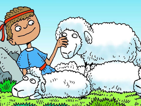 David was a good shepherd boy. He cared for all the sheep. David prayed and asked God to keep them safe. – Slide 2