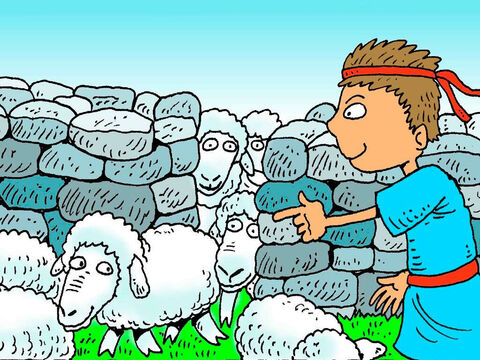 David knew every sheep by name. At night he would find a safe place for his sheep to sleep. He counted them to see that they were all there. – Slide 4