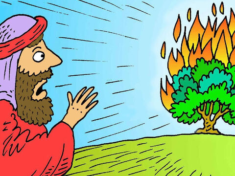 Moses was looking after his sheep one day when he saw a fire in a little bush. The bush didn’t burn up, so he went closer to look and God talked to him out of the bush. – Slide 1