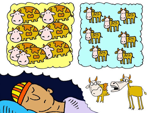 One night Pharaoh had a dream. He saw seven fat cows and seven thin cows. The thin cows ate up the fat cows, but the thin cows still looked hungry. – Slide 2