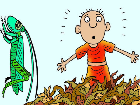 Then God sent a great swarm of locusts throughout the land of Egypt. They ate everything that was green and good to eat, but the locusts did not eat the crops belonging to the Israelites. – Slide 5