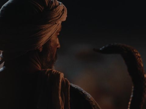 So Moses reached out and took hold of the snake and it turned back into a staff in his hand.  ‘This,’ said the Lord, ‘is so that they may believe that the Lord, the God of their fathers—the God of Abraham, the God of Isaac and the God of Jacob—has appeared to you.’ – Slide 12