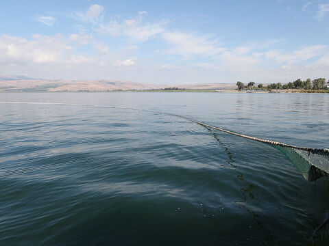 The drag net could be 1,000 feet (300m) long, hanging vertically up to 25 feet (8m) deep, with towing lines attached to each end. This is a modern drag net being used on Lake Galilee today. – Slide 16