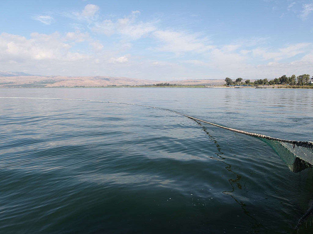 FreeBibleimages :: Sea of Galilee: Fish and fishing nets :: Information on  fishing in the Sea of Galilee in Bible times (Bible overview)