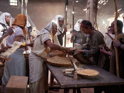 When the famine had spread over the whole of Egypt, Joseph opened all the storehouses and sold grain to the Egyptians. And people from other lands came to buy grain from Joseph, because the famine was severe everywhere. – Slide 2
