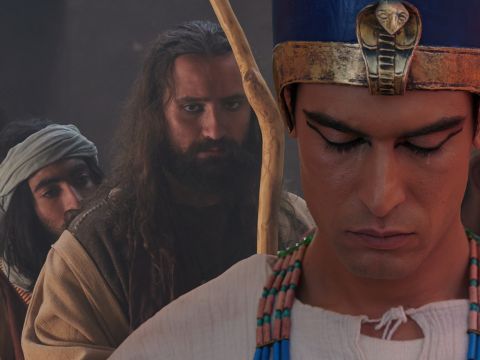 The brothers said to one another, ‘Surely we’re being punished because of the way we treated Joseph. We saw how distressed he was when he cried to us for mercy, but we refused to listen.’ <br/>They did not know that Joseph could understand them as he was speaking to them through an interpreter. <br/>Joseph turned away from them and wept. – Slide 11