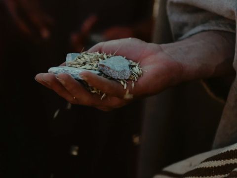 Then they discovered that each one of them had their money in their sack.’ – Slide 18