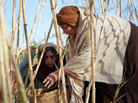 She put the child in it and set it among the reeds along the edge of the Nile. – Slide 9