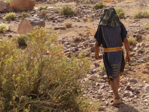 But Moses fled from Pharaoh … – Slide 9