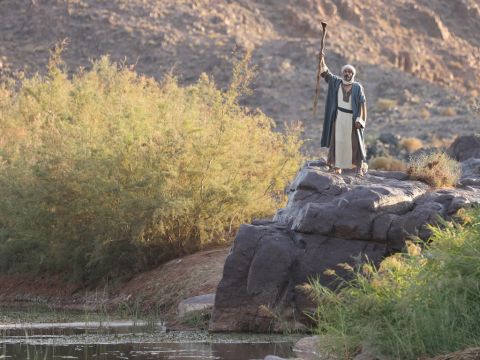 Then the Lord said to Moses, ‘Pharaoh’s heart is unyielding; he refuses to let the people go.  Go to Pharaoh in the morning by the River Nile and say to him, “The Lord, the God of the Hebrews has sent me to say to you: Let my people go, so that they may worship me in the wilderness. But until now you have not listened. This is what the Lord says: By this you will know that I am the Lord: With the staff that is in my hand I will strike the water of the Nile, and it will be changed into blood. The fish in the Nile will die, and the river will stink; the Egyptians will not be able to drink its water.”’ – Slide 3