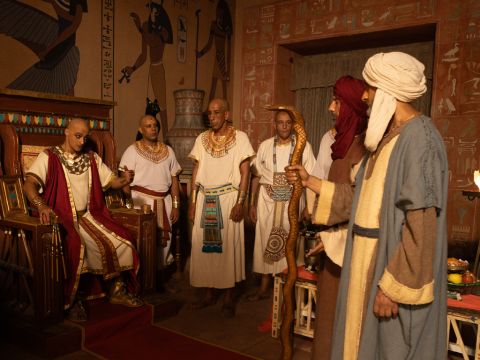 Then Pharaoh summoned Moses and Aaron and said, ‘Go, sacrifice to your God here in the land.’ <br/>Moses insisted, ‘We must take a three-day journey into the wilderness to offer sacrifices to the Lord our God, as he commands us.’ <br/>Pharaoh said, ‘I will let you go to offer sacrifices to the Lord your God in the wilderness, but you must not go very far. Now pray for me.’ <br/>Moses left Pharaoh and prayed. Not a fly remained. But Pharaoh hardened his heart and would not let the people go. – Slide 9