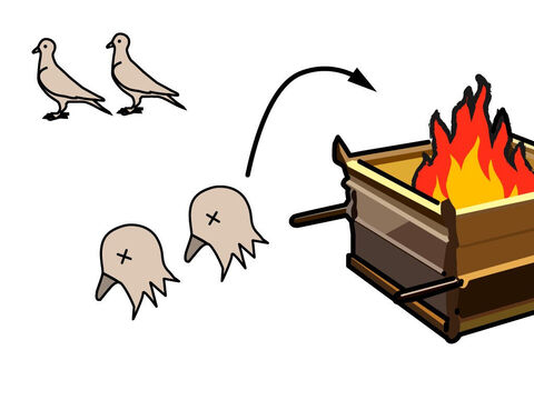 If the offering was a dove or young pigeon, the priest had to wring off its head and burn it on the altar. – Slide 12