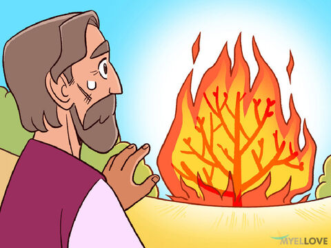 One day, Moses was taking care of the sheep and goats of his father-in-law Jethro in the wilderness by Mount Sinai. <br/>An angel of the Lord appeared to him from a burning bush. Moses saw that the bush was on fire, but it was not burning up. ‘This is strange!’ he said to himself. ‘I'll go over and see why the bush isn't burning up.’ – Slide 1