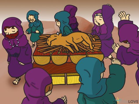 The false prophets prepared their sacrifice and prayed to Baal from morning until noon. They shouted, ‘Baal, answer us!’ But there was no answer. <br/>Elijah mocked them shouting, ‘Pray louder! maybe Baal is thinking. Or maybe he is busy or traveling! Maybe he is sleeping so you will have to wake him! So the prophets prayed louder and with wild dancing. But Baal did not answer. – Slide 3