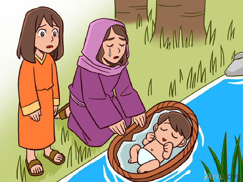 When a Hebrew woman had a baby boy she kept him inside for three months. But when she could no longer keep him hidden, she made a basket out of reeds and covered it with tar. She put him in the basket and placed it in the tall grass along the edge of the Nile River. The baby's older sister, Miriam, stood at a distance to see what would happen to him. – Slide 2