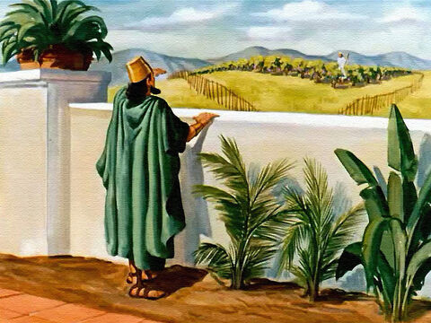 Right next to his own garden, just on the other side of the wall, was a fine vineyard. The vines were heavy with fruit, and the king could see that the land was good. – Slide 4
