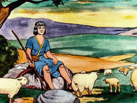 David was a shepherd boy, and much of his boyhood life was spent out in the fields, caring for his father’s sheep. – Slide 5