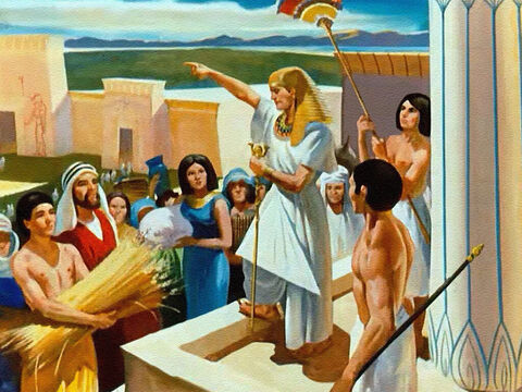 Through seven years of bountiful harvests, Joseph stored up food in great storehouses, for the Lord had told him that famine was coming. – Slide 33