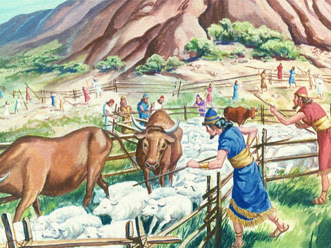 First, they fenced in all the cattle, for God had warned that even the animals would die if they touch the Holy Mountain. – Slide 12