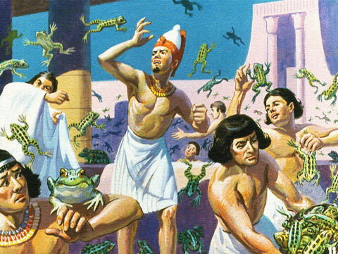 Another time God caused the land of Egypt to be overrun with frogs. Frogs in the streets, frogs in the houses, frogs in their beds, frogs everywhere. But Pharaoh's heart was as hard as before. – Slide 7