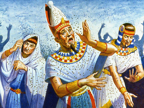 On another occasion, flies were sent by the millions to torment the Egyptians and still the King would not give up. But God continued to deal with Pharaoh to let His people go. – Slide 8