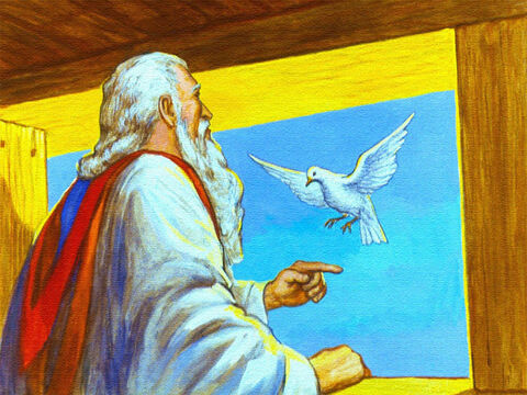 The dove returned and Noah knew that the waters were not yet gone. – Slide 41