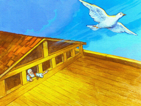 Seven days went by and Noah sent out the dove the second time. – Slide 42