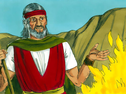 ‘Go to Pharaoh and bring my people out of Egypt’, God instructed. Moses started making excuses. ‘Who am I to do this?’ – Slide 6