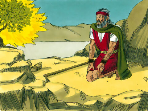 God asked Moses what he held in his hand. ‘A staff,’ replied Moses. ‘Throw it to the ground,’ said the Lord. – Slide 12