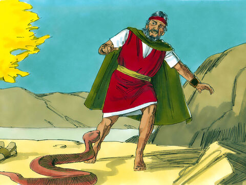When he threw his staff to the ground it became a snake. Moses was scared and jumped away from it. ‘Reach out your hand and take the snake by the tail,’ said the Lord. – Slide 13