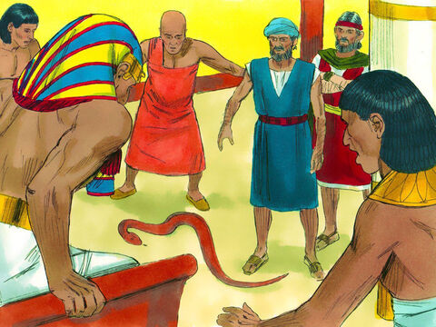 Pharaoh demanded that Moses and Aaron show him a miracle. Aaron threw his staff down and it became a snake. Pharaoh summoned his wise men and sorcerers. They threw down their staffs and their staffs also became snakes. – Slide 12