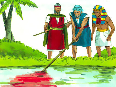 So Aaron did what God had instructed and struck the River Nile with his staff. The water was changed to blood. Fish died, the Egyptians could not drink the water and the river smelt. – Slide 2