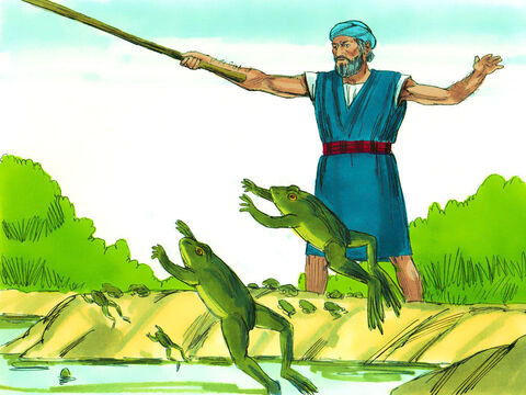 Exodus 8 Seven days later, God told Moses to tell Aaron to stretch his staff over the streams, canals and ponds to make frogs come out onto the land. – Slide 4