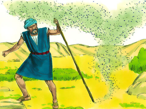 So God told Moses to tell Aaron to strike the dust with his staff and the dust would become gnats. Pharaoh’s magicians tried but could not do this. ‘This is the finger of God,’ they told Pharaoh. – Slide 9