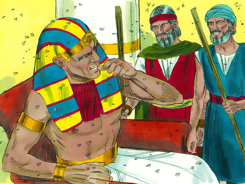 Pharaoh summoned Moses and Aaron. ‘I will let you go and offer sacrifices to your God but you must not go far. Now pray to God to stop the flies.’ – Slide 15