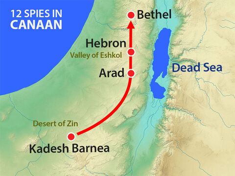 The twelve spies set out from Kadesh Barnea through the Negev desert, where the Amalekites lived, then up into the hill country. – Slide 5