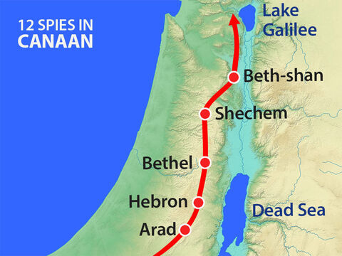 They moved north through the hill country where the Hittites, Jebusites and Amorites lived and then around the River Jordan and Lake Galilee where they saw Canaanites. – Slide 7
