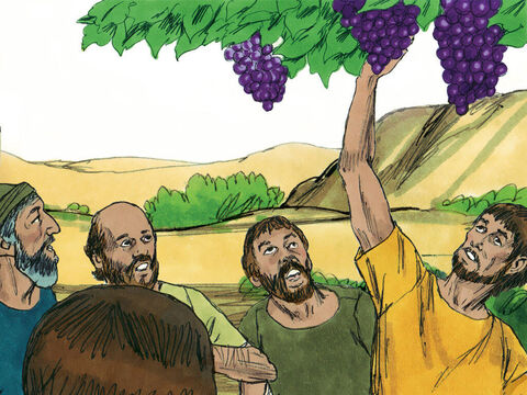 When they reached the Valley of Eshkol, they cut off a branch bearing a single cluster of grapes. – Slide 10