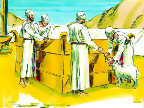 The altar would be used for people to bring a male animal without defect, cattle, sheep, goats (or birds if they were poor). They would put their hand on the animal to show it was being offered for them to make peace with God (Leviticus 1:4). – Slide 22
