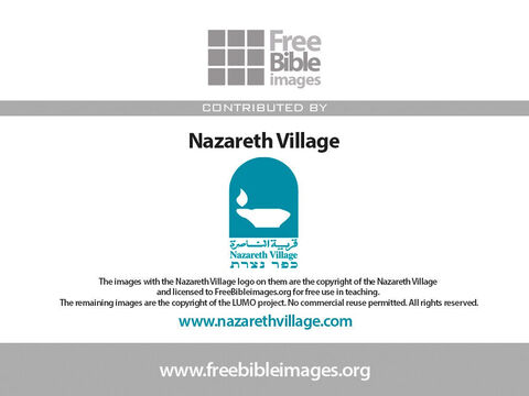 The photos in this parable have been taken at Nazareth Village and used with their kind permission. They retain copyright on their images and do not allow any commercial reuse. – Slide 21