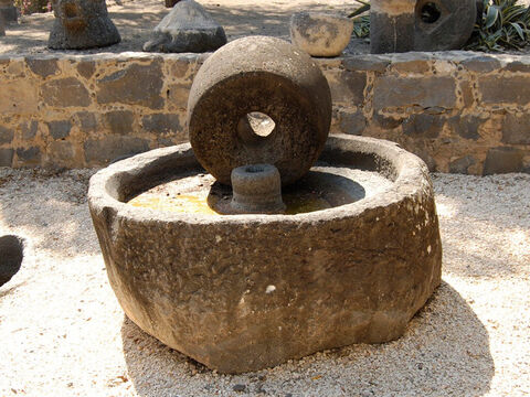 Here is circular press and grinding stone made of black basalt from Bible times that was found in Capernaum. – Slide 12