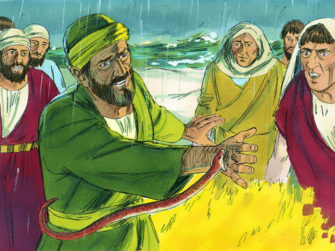 The people of the island were very kind and as it was cold and rainy, they built a fire on the shore to welcome them. As Paul was putting an armful of sticks on the fire, a poisonous snake, driven out by the heat, bit him on the hand. – Slide 2