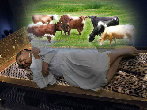 He was standing by the Nile River when seven fat cows came up out of the water and began to feed on the grass. – Slide 3