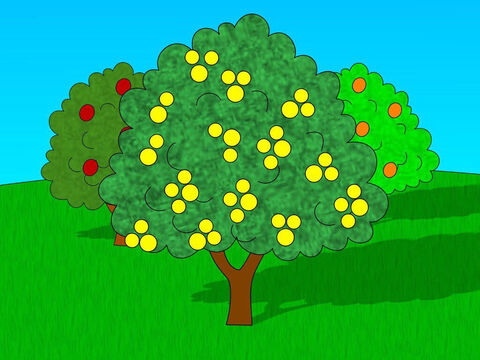 God warned Adam that he could eat from any of the trees in the garden except from the tree of the knowledge of good and evil. If Adam ate the fruit from this tree he would die. – Slide 3