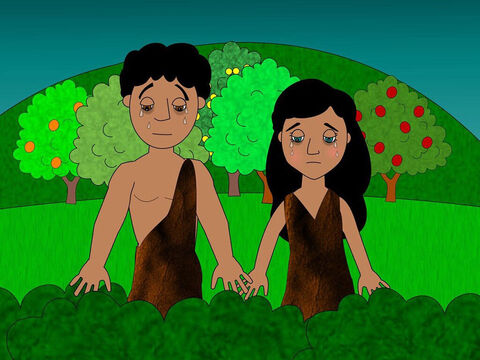 Then God clothed Adam and Eve in animal skins. Then He made them leave the beautiful garden as He did not want them to eat from the tree of life and live forever in their sinfulness. – Slide 13