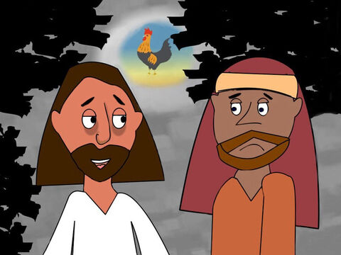 Jesus explained that everyone would run away and leave Him but after He had been raised from the dead He would meet them in Galilee. Peter said he would never act like that but Jesus warned him ‘Before the cock crows 3 times you will deny Me.’ – Slide 2