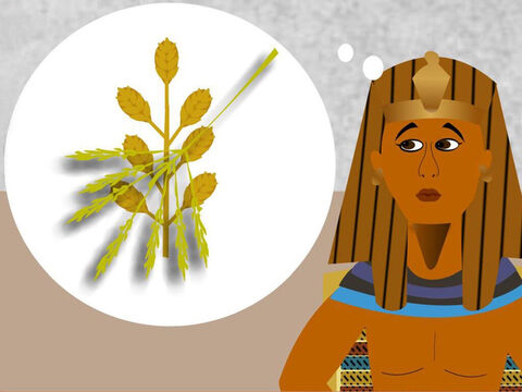 In another dream Pharaoh saw 7 fat ears of grain growing on one stalk. Then he saw 7 thin ears of grain eat up the 7 fat ears of grain. Pharaoh had woken up very worried about the dreams and what the dreams meant. – Slide 10