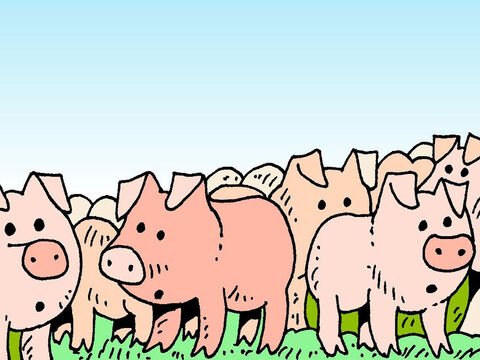 A herd of pigs was feeding on the mountainside nearby, and the demons pleaded with Jesus to let them enter into the pigs. Jesus commanded them to leave the man and enter the pigs instead. – Slide 7